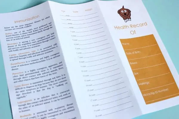 paperwork