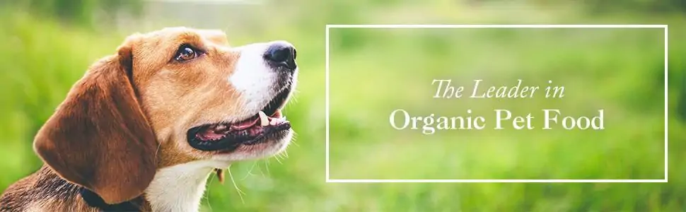 Free-Grain-Dry-Puppy-Food