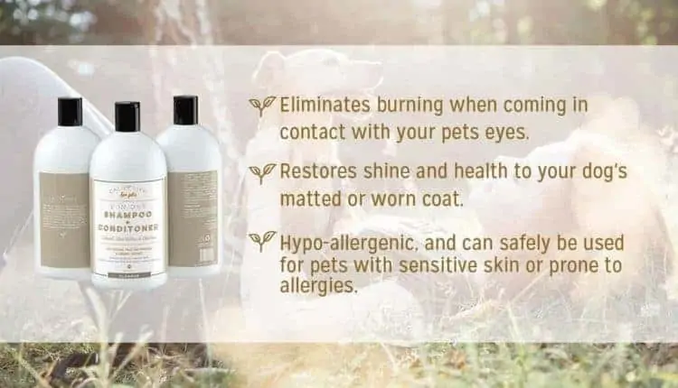 Organic Oatmeal Shampoo & Conditioner for dogs