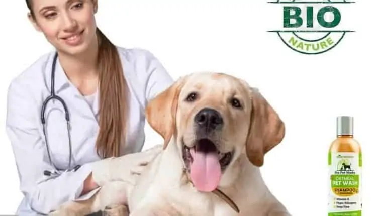 Natural Oatmeal Dog Shampoo