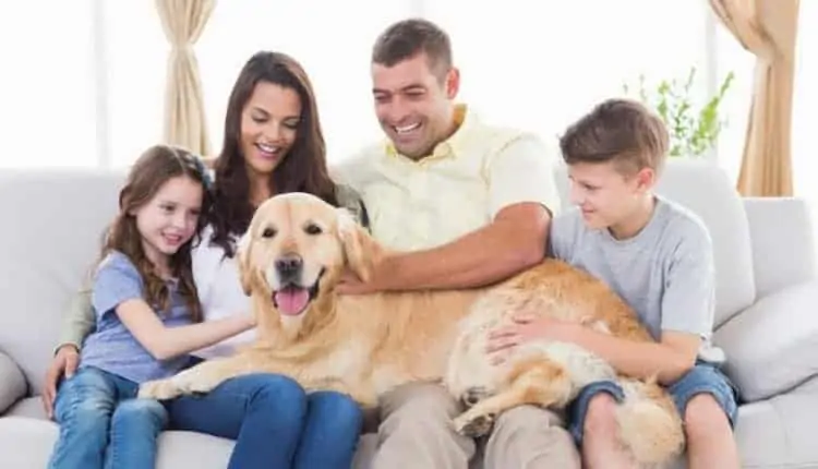Purkiss Pet