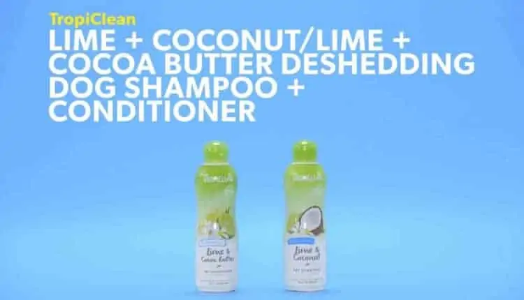 Tea Tree Pet Shampoo