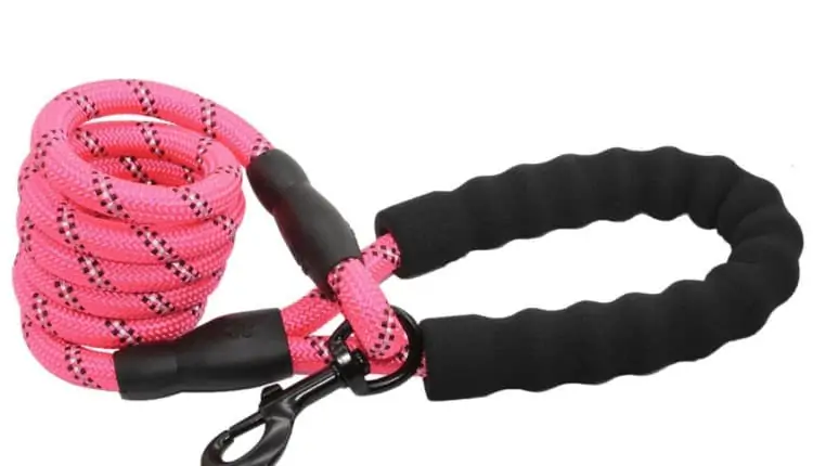 Strong Dog Leash