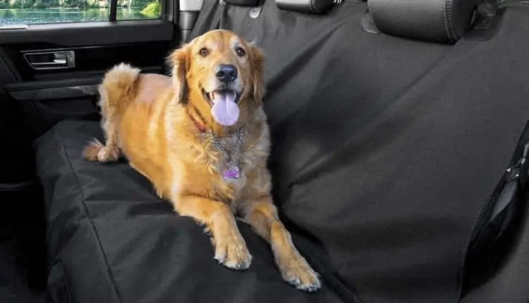 Pet Seat Cover for Cars