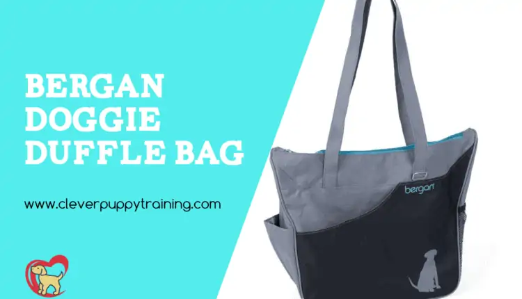 doggie travel bag