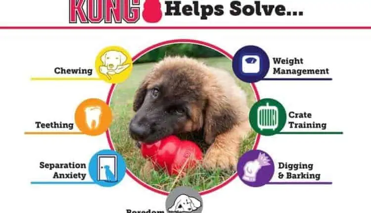 KONG Extreme Canine Toy helps separation anxiety