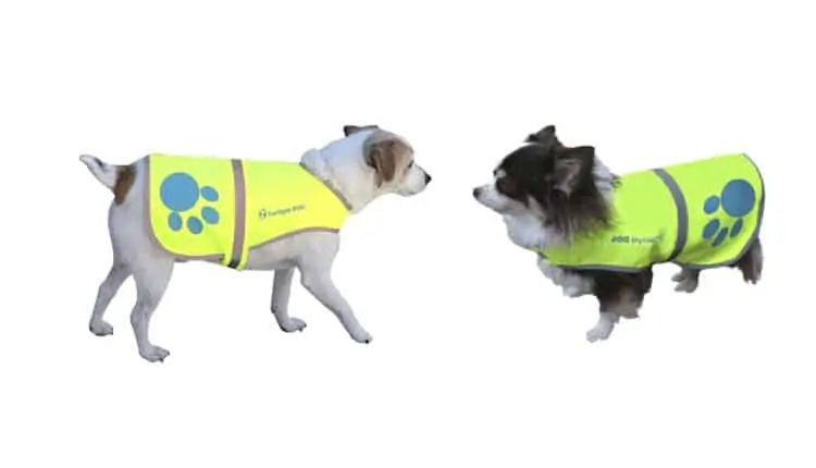 dog reflective vest