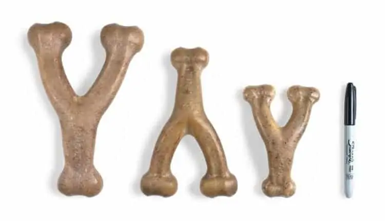 Benebone Real Flavor Wishbone Dog Chew Toy