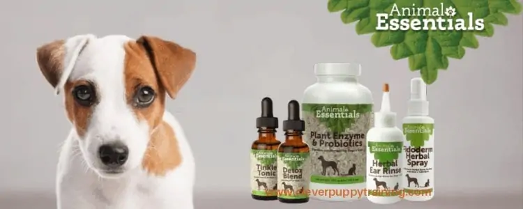 Animal Essentials
