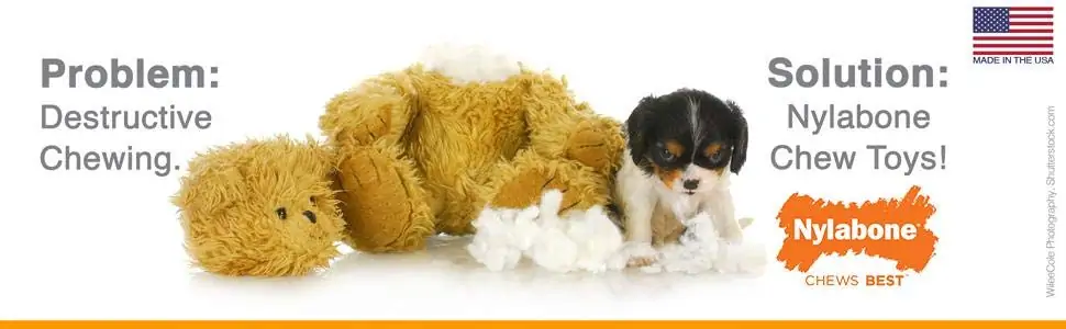 Dog Chew Toy