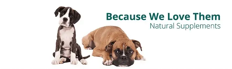PetVitality Pro 4 Digestive Aids Suplement
