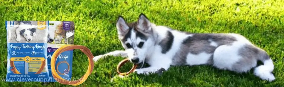 Puppy Teething Ring Chicken Flavor