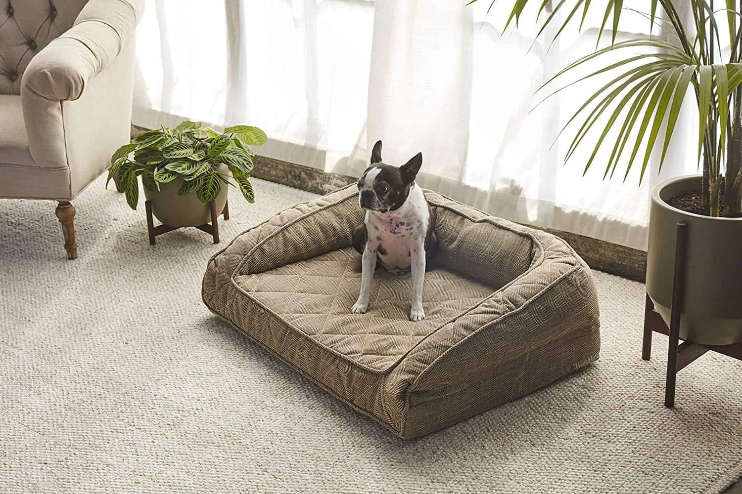 high-end-orthopedic-dog-beds