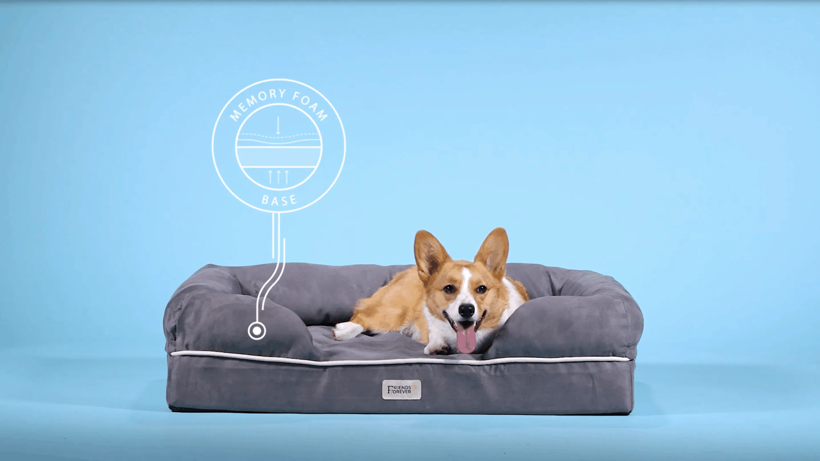 best orthopedic dog bed for small breed