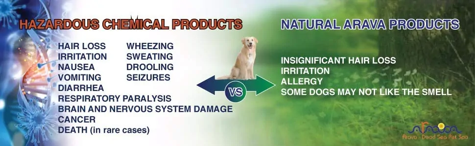 best-natural-flea-dog-collar