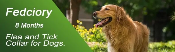 flea collar for big dogs