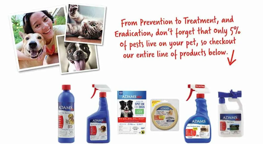 Adams Plus Flea Shampoo