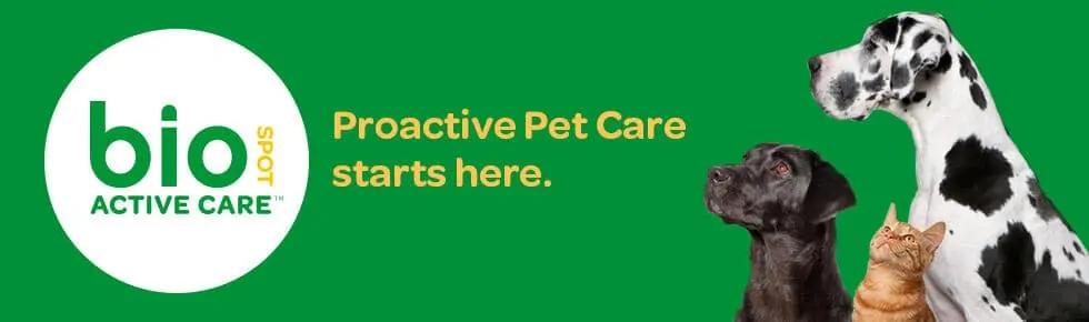 Bio Spot Fleas and Tick Shampoo
