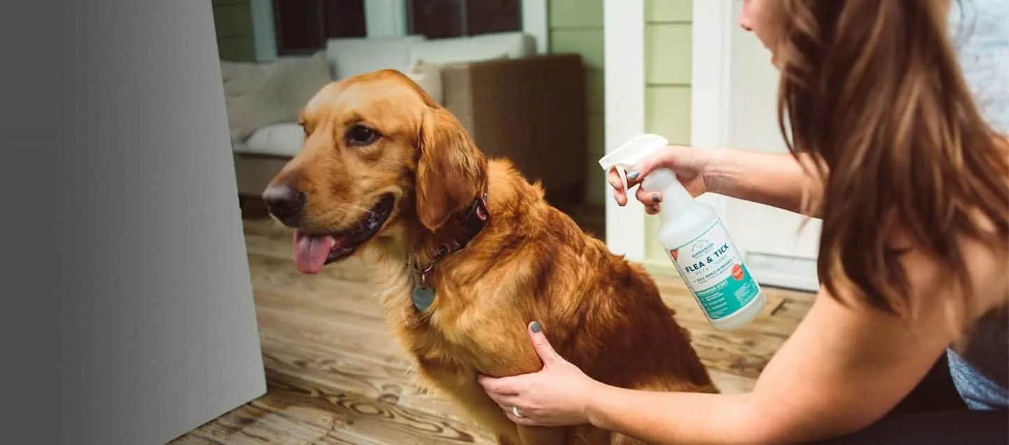 wondercide-natural-flea-spray