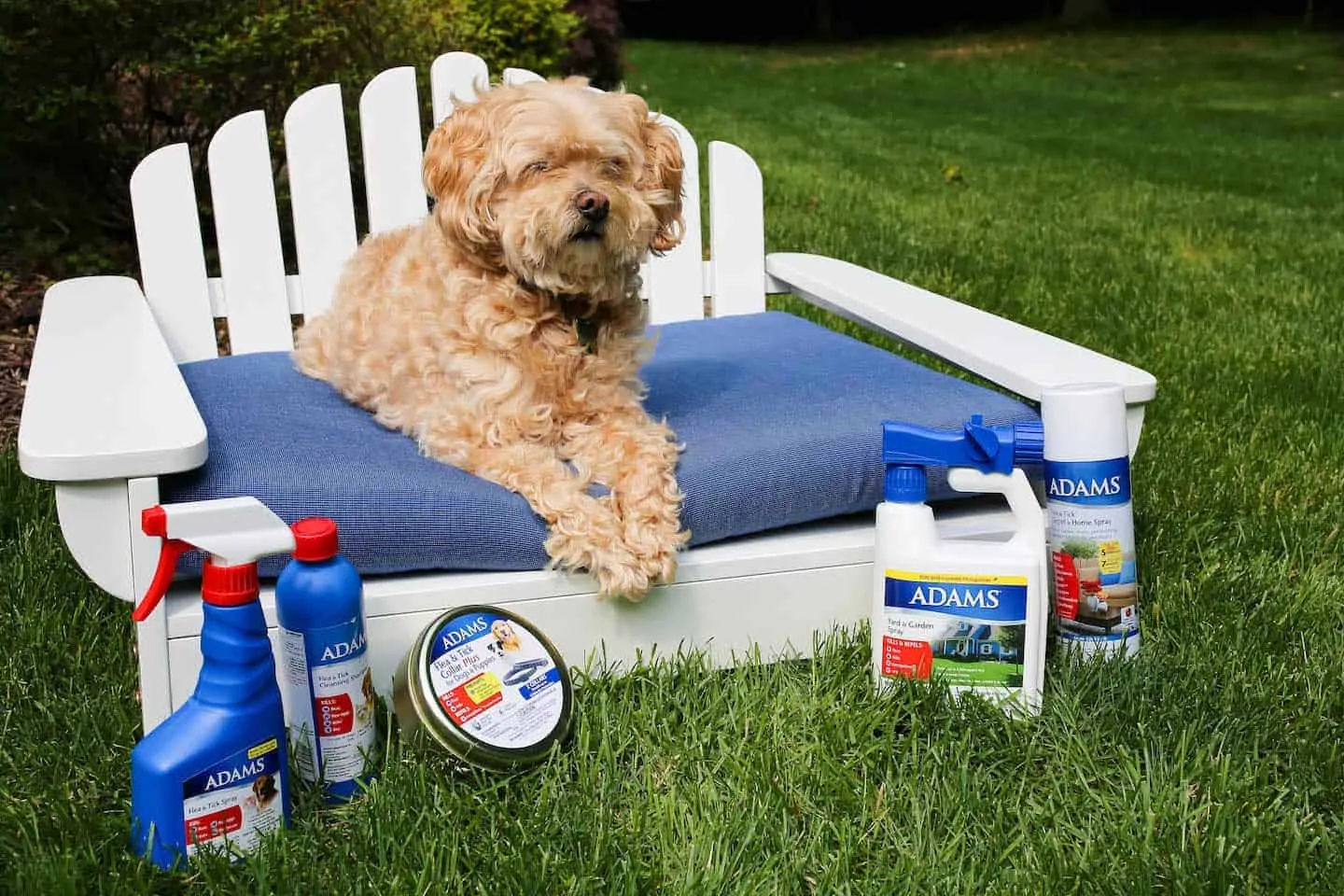 adam-fleas-and-ticks-spray
