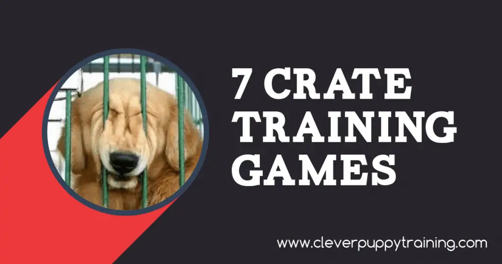 Crate Training Games