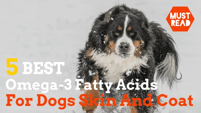 omega-3 fatty acids for dogs
