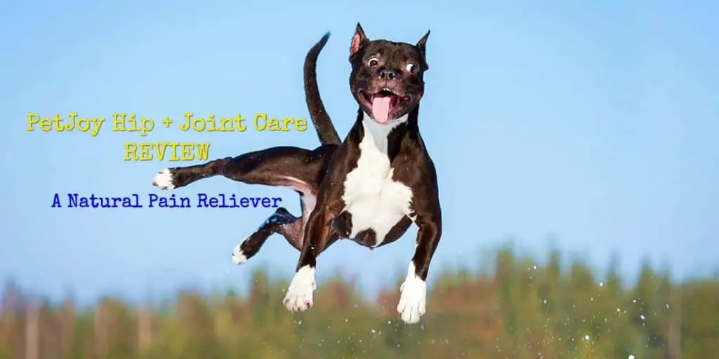 PetJoy-Hip-Joint-care-soft-chew-review