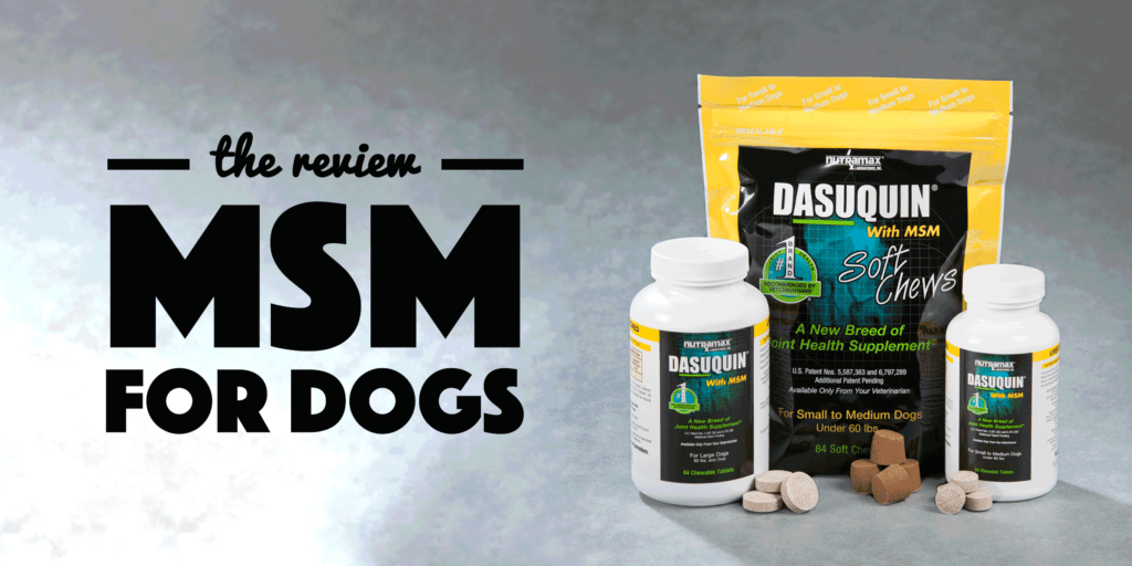 MSM Soft Chews