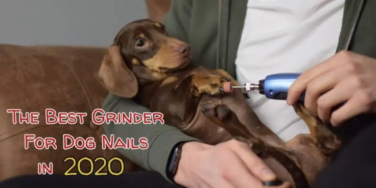 best-grinder-for-dog-nails