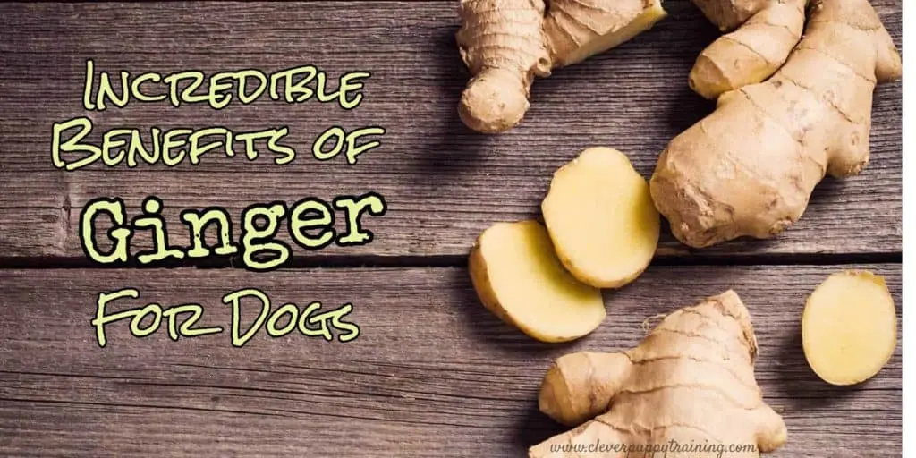 benefits of ginger