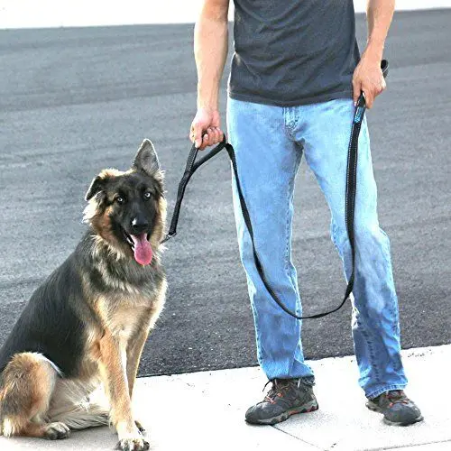 Reflective Dog Leash