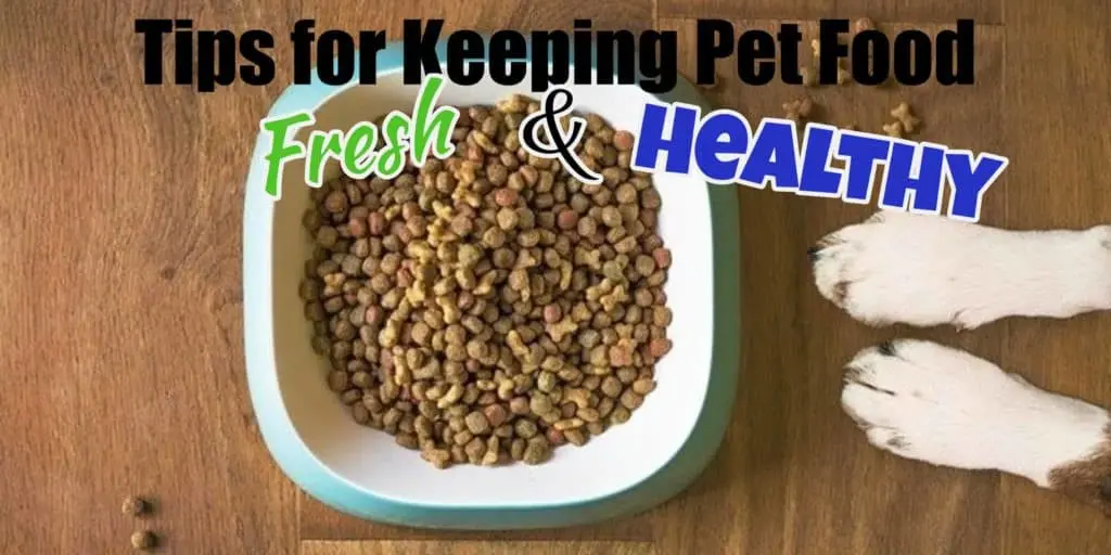 Keeping-Pet-Food-Fresh