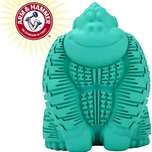 Dental Chew Toys for Dogs