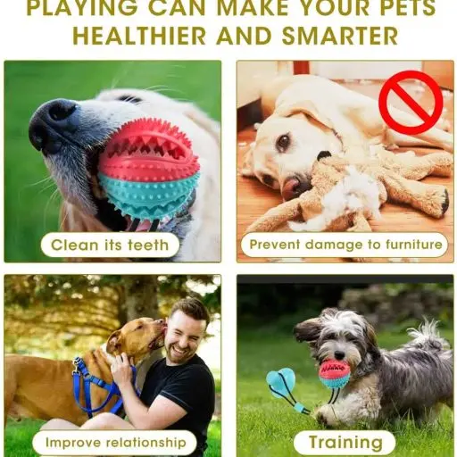 Dog Dental Chew Toys