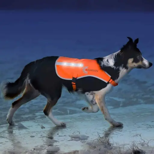 Illumiseen LED Dog Vest