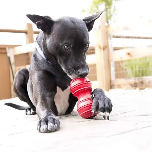 Kong Dog Teeth Cleaning Toys