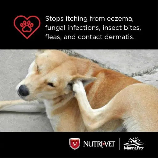 Nutri-Vet Ear Cleanse for Dogs