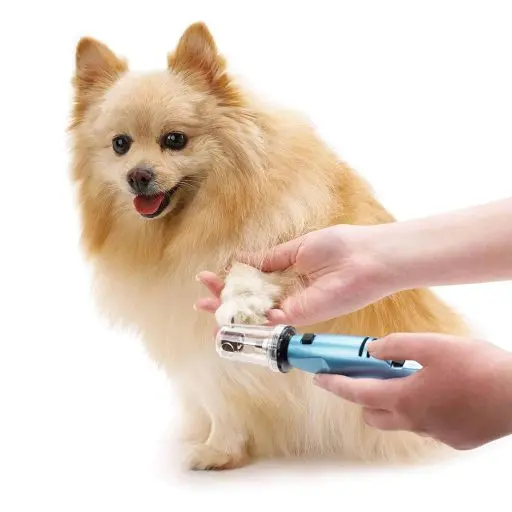 Premium Nails Grinder For Dogs