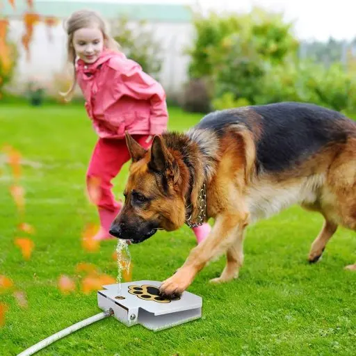 Easy Paw Activated Drinking Pet Dispenser