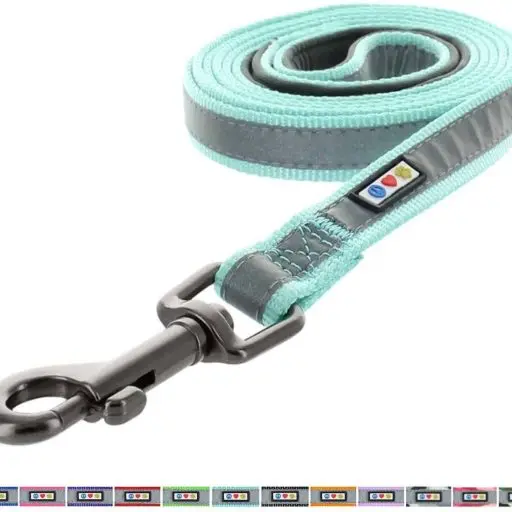 Pawtitas Reflective Dog Leash