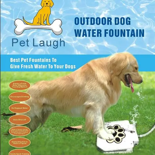 dog-waterer-step-on