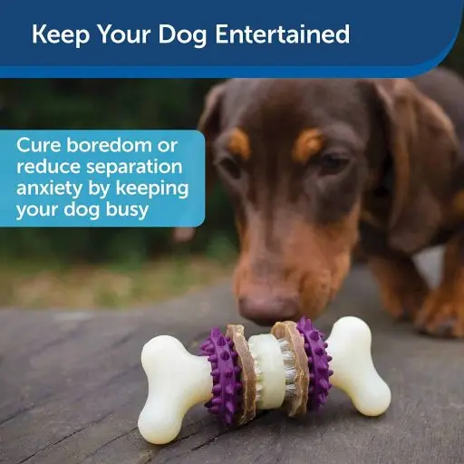 Bristle Bone Chew Toy for Dogs