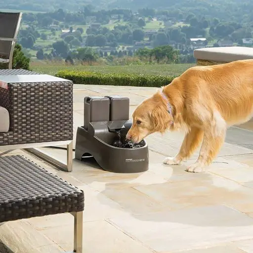 petsafe-drinkwell-fountain