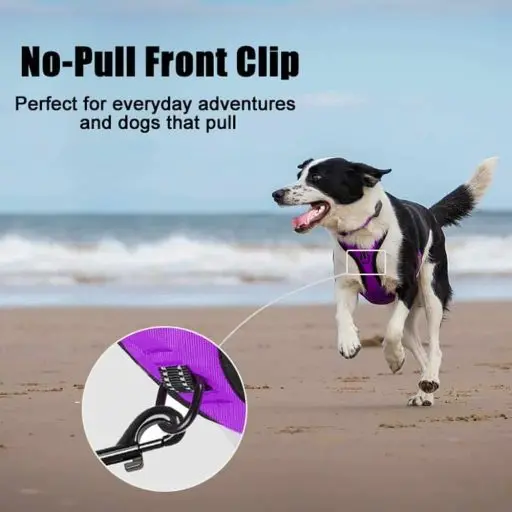 PoyPet No Pull Reflective Vest Harness