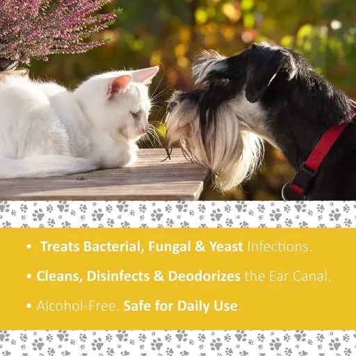 Veterinary Formula Clinical Care Ear Therapy