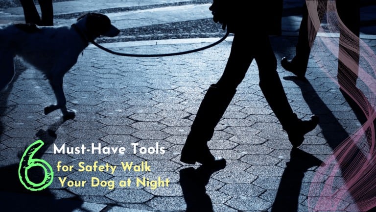 walk your dog at night