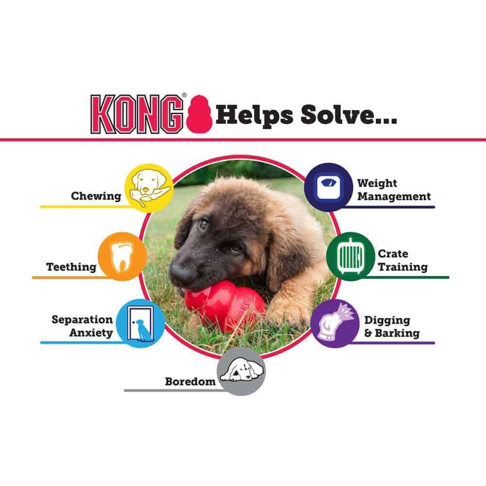 KONG Extreme Canine Toy helps separation anxiety