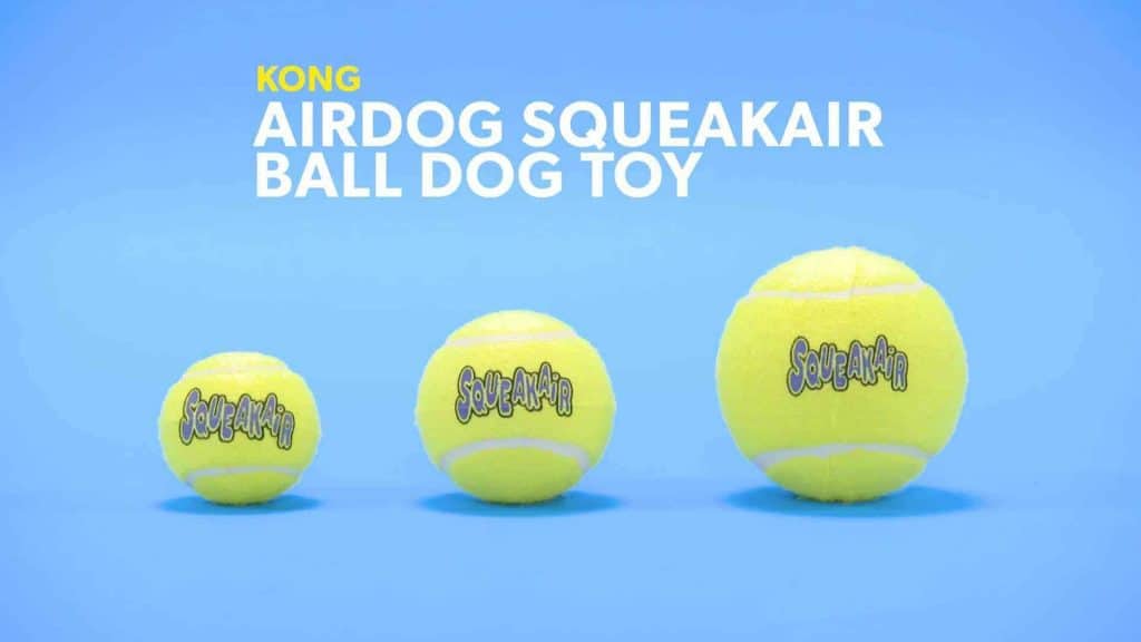 a tennis ball works like a pacifier for anxious dogs