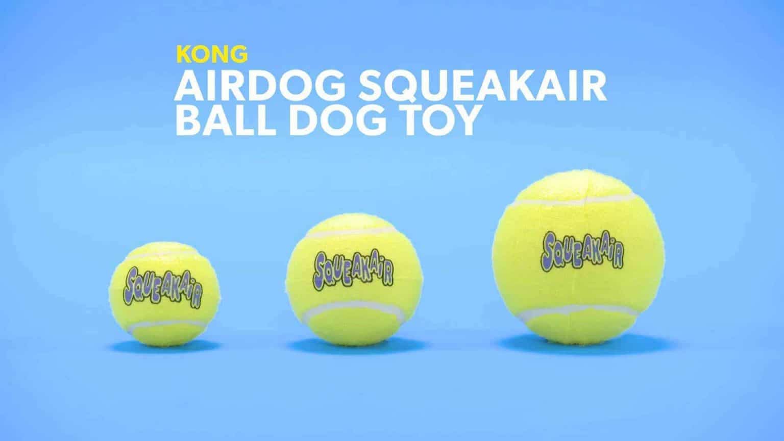 Best Toys For Dogs With Separation Anxiety 5 Best Dog Toys for Separation Anxiety
