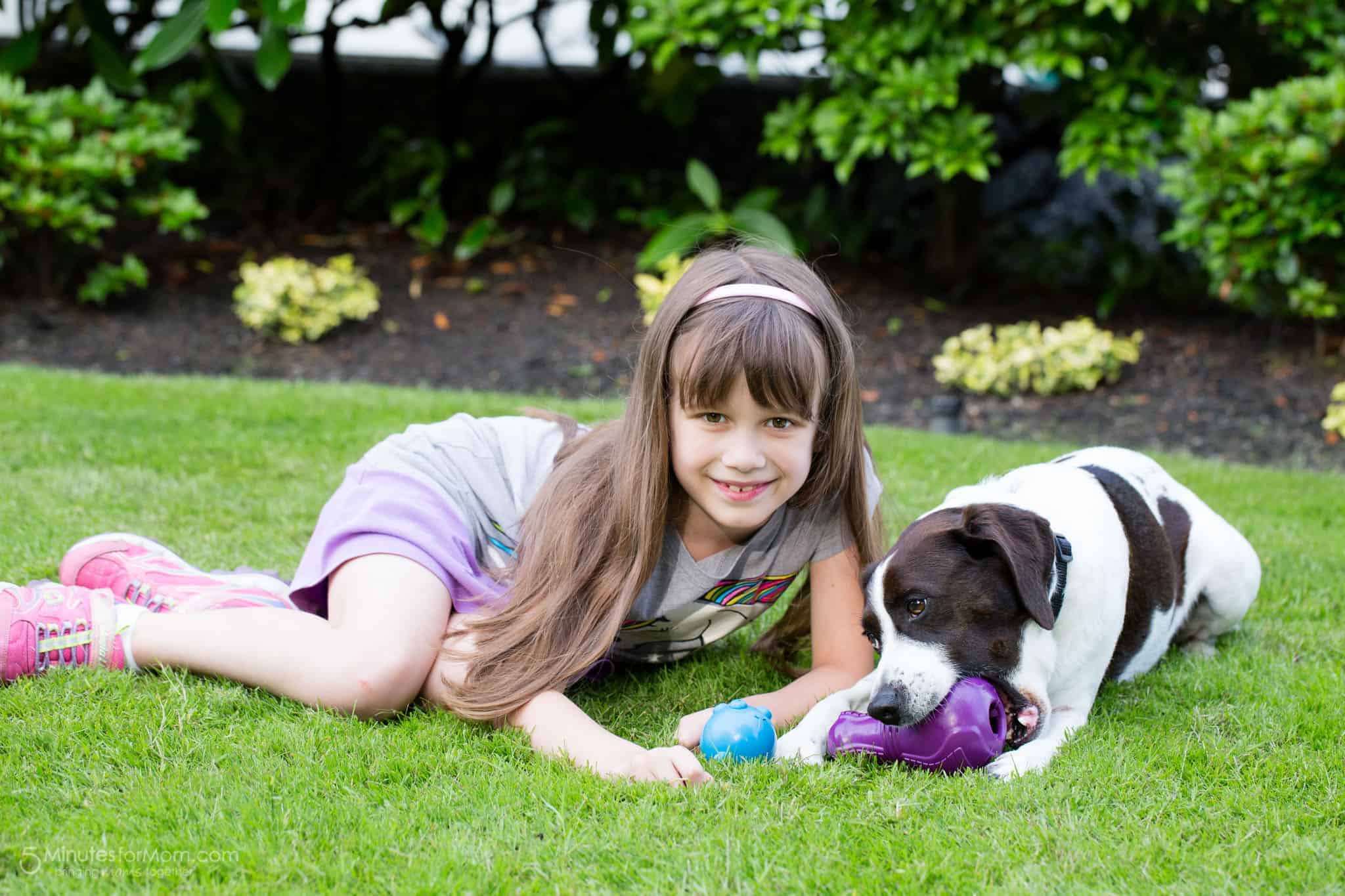 5 Best Dog Toys for Separation Anxiety